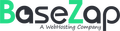 Base Zap Logo