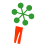 Indianets Hosting Logo