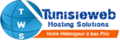Tunisie Web Logo